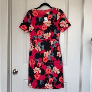 NWT Floral Jcrew Dress